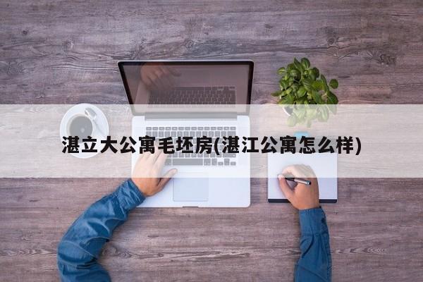 湛立大公寓毛坯房(湛江公寓怎么样)