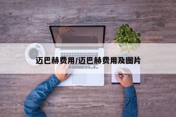 迈巴赫费用/迈巴赫费用及图片