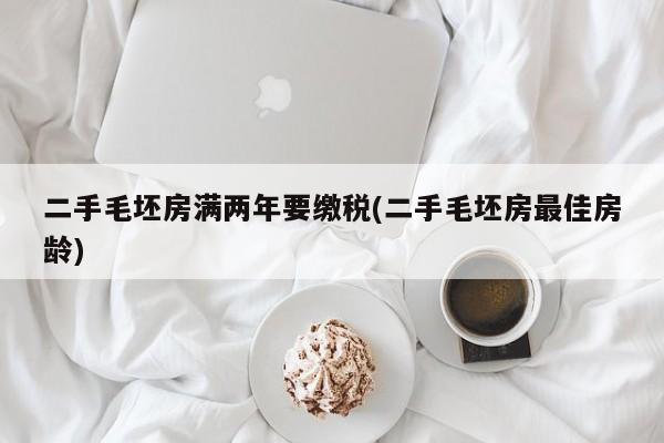 二手毛坯房满两年要缴税(二手毛坯房最佳房龄)