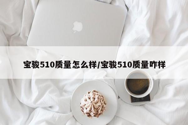 宝骏510质量怎么样/宝骏510质量咋样