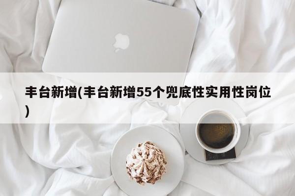 丰台新增(丰台新增55个兜底性实用性岗位)